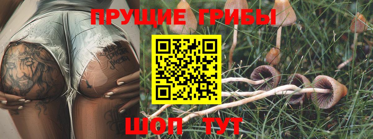 Псилоцибиновые грибы ЛСД  Вход с VPN  Реж 