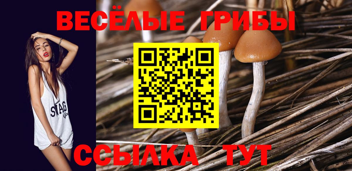 Псилоцибиновые грибы прущие грибы Реж